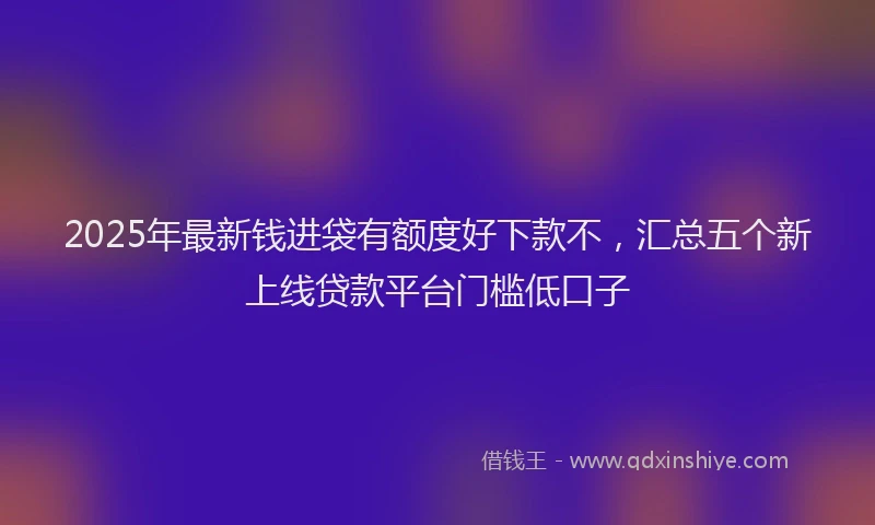 2025年最新钱进袋有额度好下款不，汇总五个新上线贷款平台门槛低口子