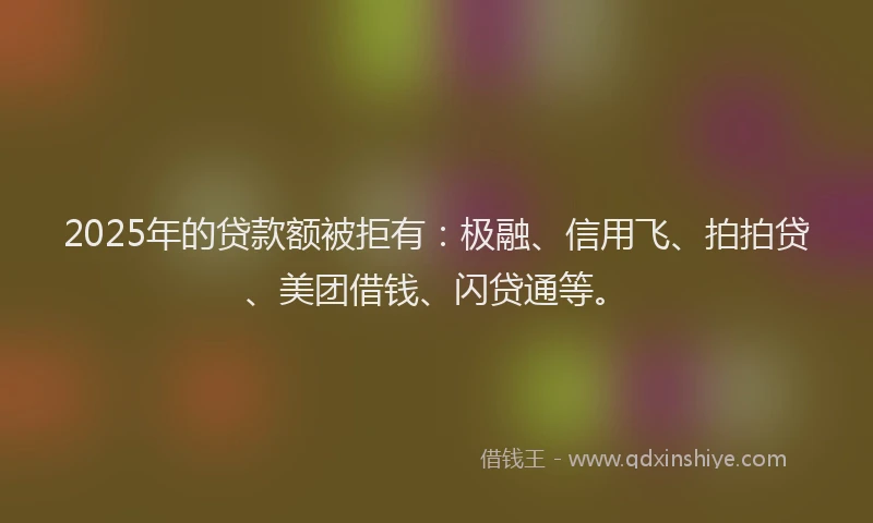2025年的贷款额被拒有：极融、信用飞、拍拍贷、美团借钱、闪贷通等。