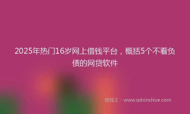 2025年热门16岁网上借钱平台，概括5个不看负债的网贷软件
