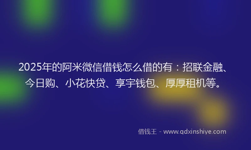 2025年的阿米微信借钱怎么借的有：招联金融、今日购、小花快贷、享宇钱包、厚厚租机等。