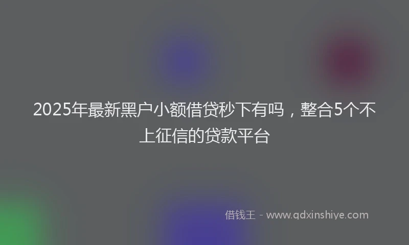 2025年最新黑户小额借贷秒下有吗，整合5个不上征信的贷款平台