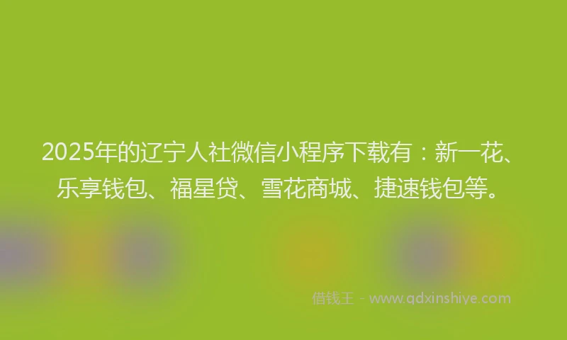 2025年的辽宁人社微信小程序下载有：新一花、乐享钱包、福星贷、雪花商城、捷速钱包等。