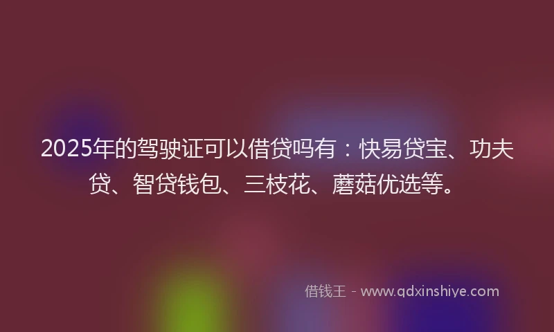 2025年的驾驶证可以借贷吗有：快易贷宝、功夫贷、智贷钱包、三枝花、蘑菇优选等。