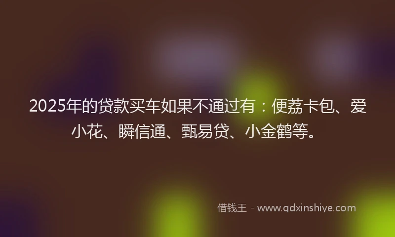 2025年的贷款买车如果不通过有：便荔卡包、爱小花、瞬信通、甄易贷、小金鹤等。