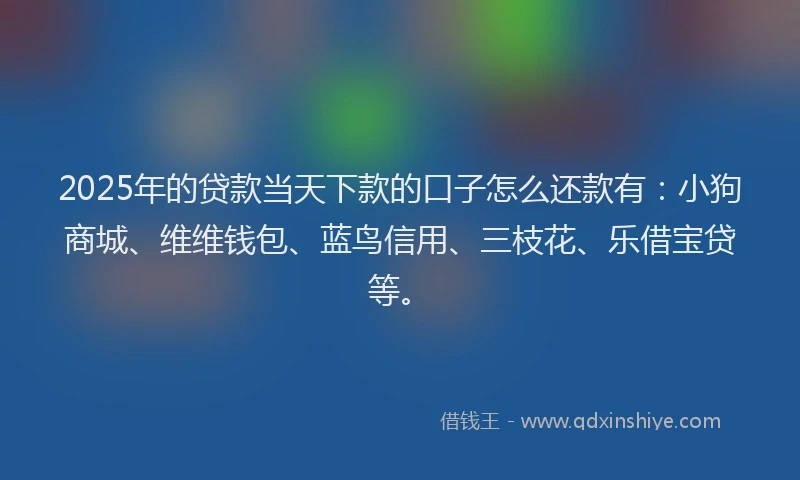 2025年的贷款当天下款的口子怎么还款有：小狗商城、维维钱包、蓝鸟信用、三枝花、乐借宝贷等。