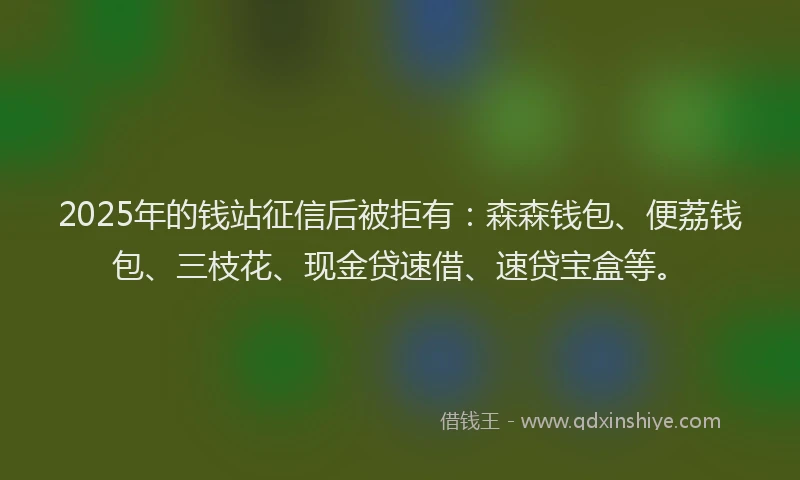 2025年的钱站征信后被拒有：森森钱包、便荔钱包、三枝花、现金贷速借、速贷宝盒等。