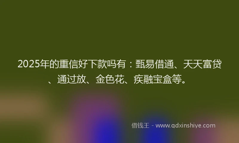 2025年的重信好下款吗有：甄易借通、天天富贷、通过放、金色花、疾融宝盒等。