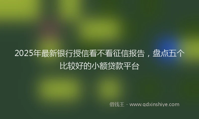 2025年最新银行授信看不看征信报告，盘点五个比较好的小额贷款平台