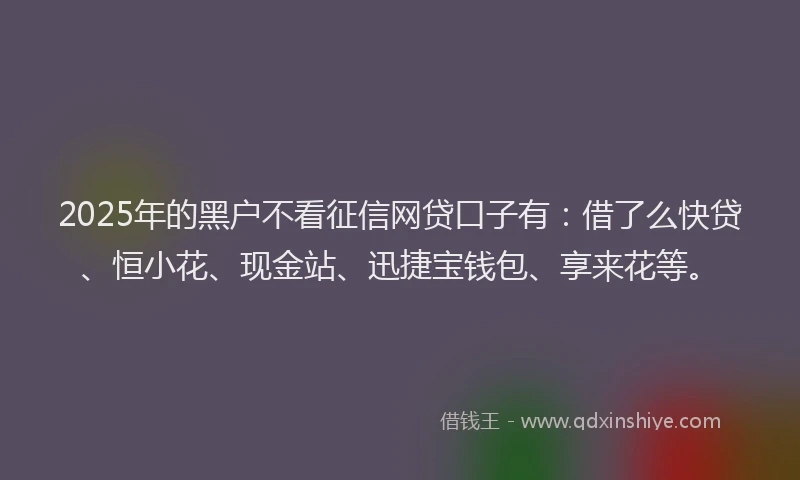 2025年的黑户不看征信网贷口子有：借了么快贷、恒小花、现金站、迅捷宝钱包、享来花等。