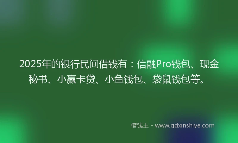2025年的银行民间借钱有：信融Pro钱包、现金秘书、小赢卡贷、小鱼钱包、袋鼠钱包等。