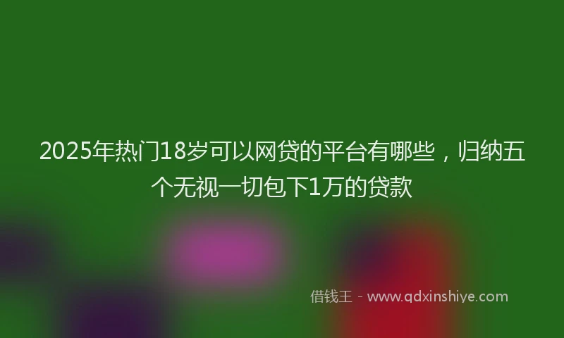 2025年热门18岁可以网贷的平台有哪些，归纳五个无视一切包下1万的贷款