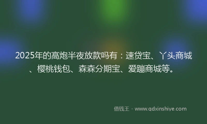 2025年的高炮半夜放款吗有：速贷宝、丫头商城、樱桃钱包、森森分期宝、爱蹦商城等。