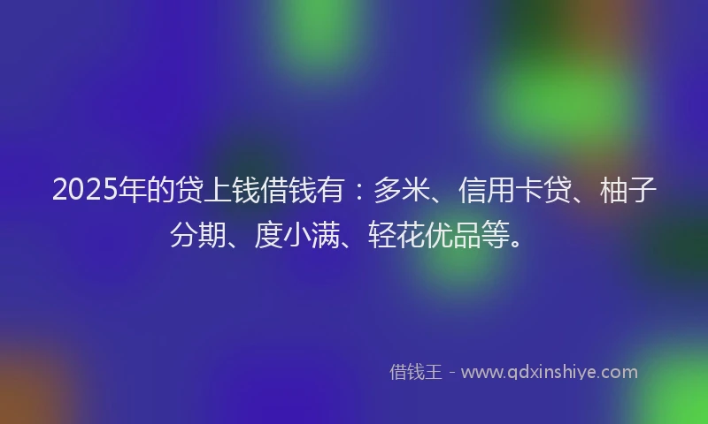 2025年的贷上钱借钱有：多米、信用卡贷、柚子分期、度小满、轻花优品等。