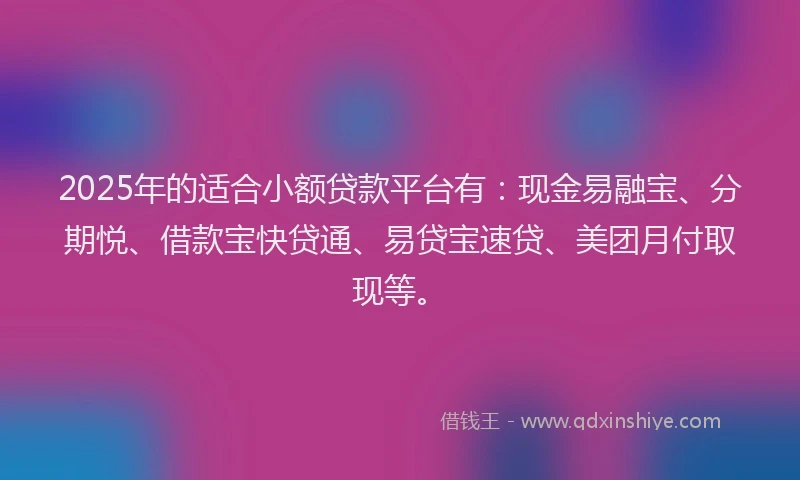 2025年的适合小额贷款平台有：现金易融宝、分期悦、借款宝快贷通、易贷宝速贷、美团月付取现等。