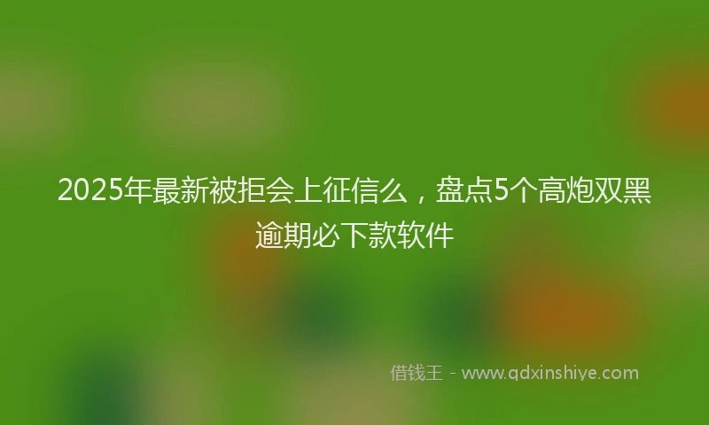 2025年最新被拒会上征信么，盘点5个高炮双黑逾期必下款软件