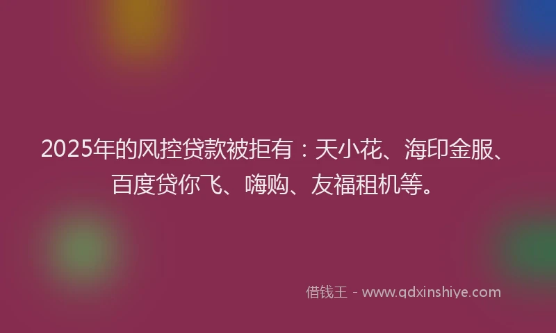 2025年的风控贷款被拒有：天小花、海印金服、百度贷你飞、嗨购、友福租机等。