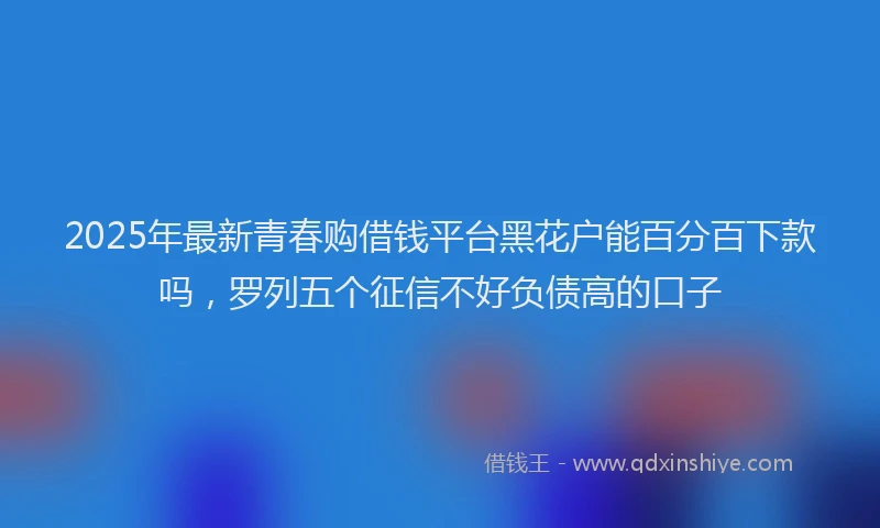 2025年最新青春购借钱平台黑花户能百分百下款吗，罗列五个征信不好负债高的口子