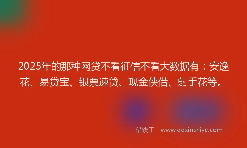 2025年的那种网贷不看征信不看大数据有：安逸花、易贷宝、银票速贷、现金侠借、射手花等。
