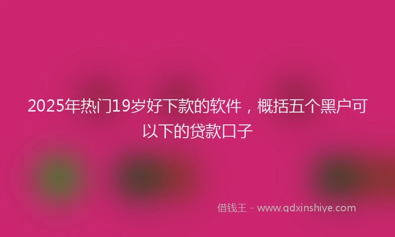 2025年热门19岁好下款的软件，概括五个黑户可以下的贷款口子