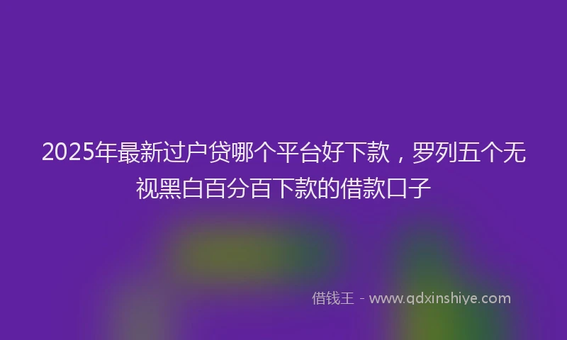2025年最新过户贷哪个平台好下款，罗列五个无视黑白百分百下款的借款口子