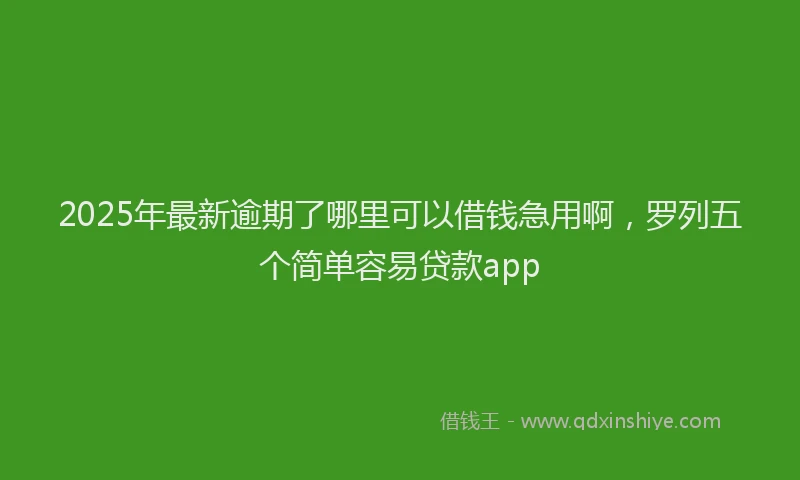 2025年最新逾期了哪里可以借钱急用啊，罗列五个简单容易贷款app