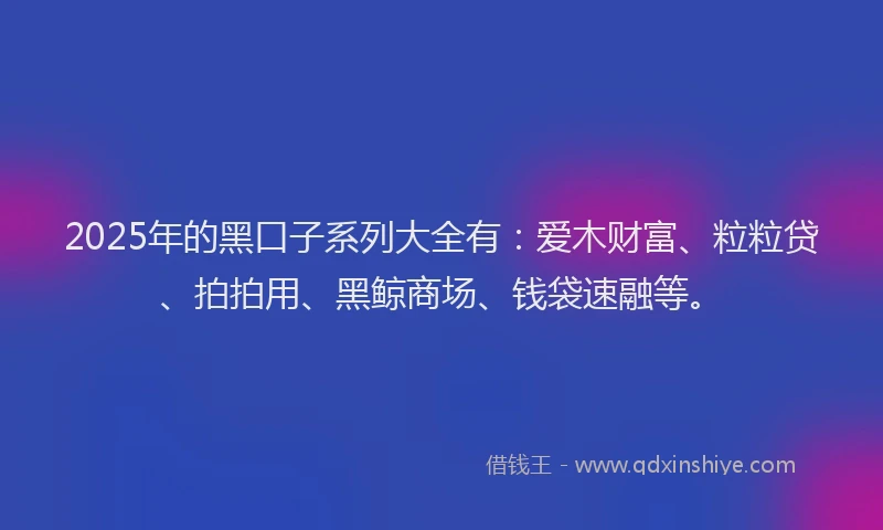 2025年的黑口子系列大全有：爱木财富、粒粒贷、拍拍用、黑鲸商场、钱袋速融等。