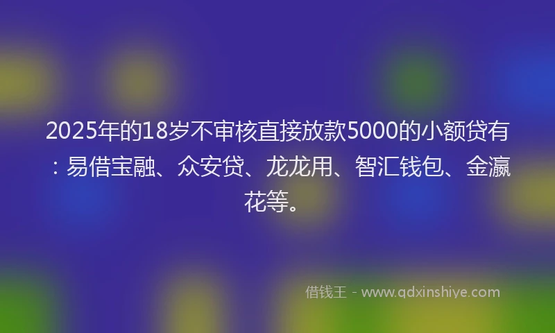 2025年的18岁不审核直接放款5000的小额贷有：易借宝融、众安贷、龙龙用、智汇钱包、金瀛花等。