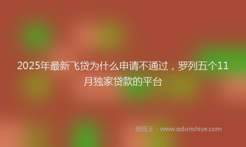 2025年最新飞贷为什么申请不通过，罗列五个11月独家贷款的平台