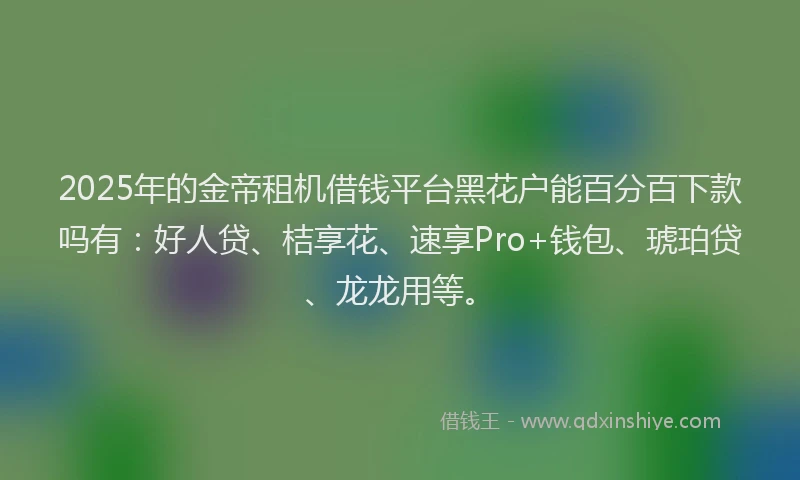 2025年的金帝租机借钱平台黑花户能百分百下款吗有：好人贷、桔享花、速享Pro+钱包、琥珀贷、龙龙用等。