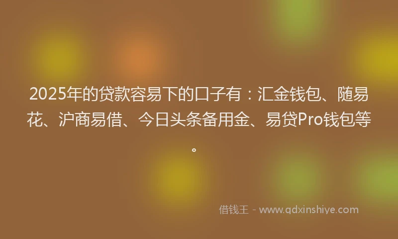 2025年的贷款容易下的口子有：汇金钱包、随易花、沪商易借、今日头条备用金、易贷Pro钱包等。