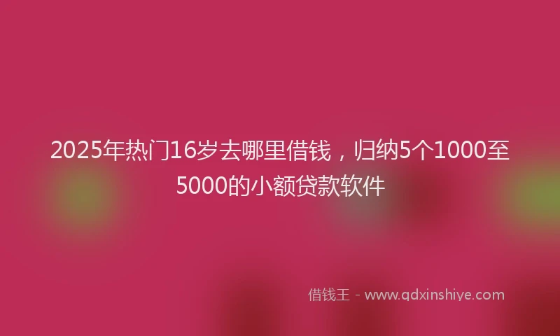 2025年热门16岁去哪里借钱，归纳5个1000至5000的小额贷款软件