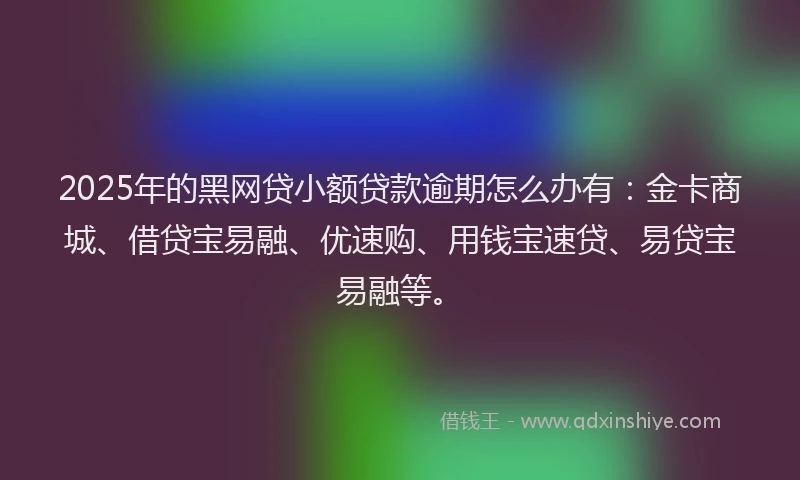 2025年的黑网贷小额贷款逾期怎么办有：金卡商城、借贷宝易融、优速购、用钱宝速贷、易贷宝易融等。