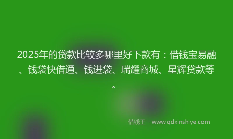 2025年的贷款比较多哪里好下款有：借钱宝易融、钱袋快借通、钱进袋、瑞耀商城、星辉贷款等。