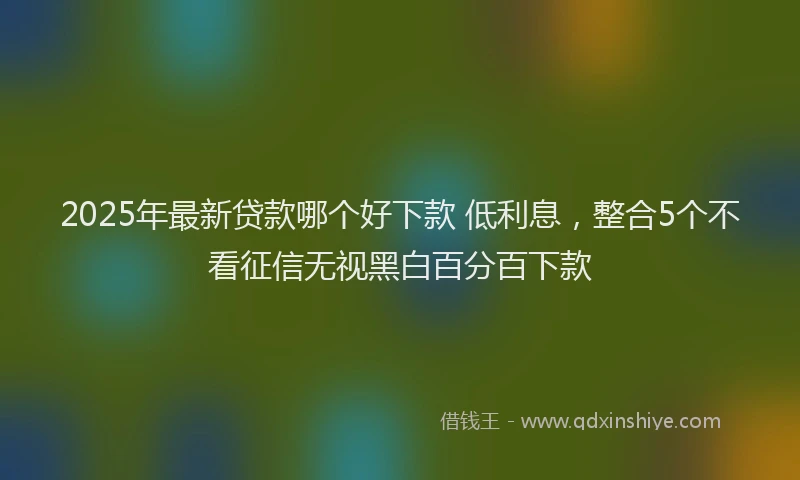 2025年最新贷款哪个好下款 低利息，整合5个不看征信无视黑白百分百下款