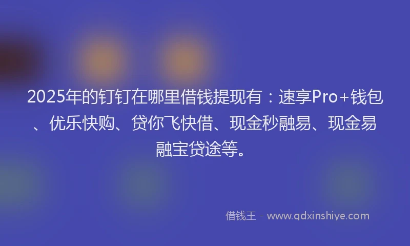 2025年的钉钉在哪里借钱提现有：速享Pro+钱包、优乐快购、贷你飞快借、现金秒融易、现金易融宝贷途等。