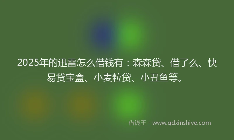 2025年的迅雷怎么借钱有：森森贷、借了么、快易贷宝盒、小麦粒贷、小丑鱼等。
