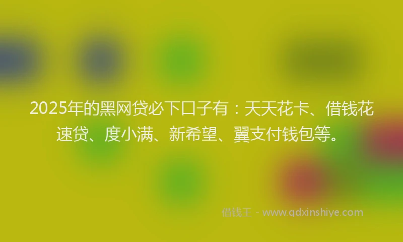 2025年的黑网贷必下口子有：天天花卡、借钱花速贷、度小满、新希望、翼支付钱包等。