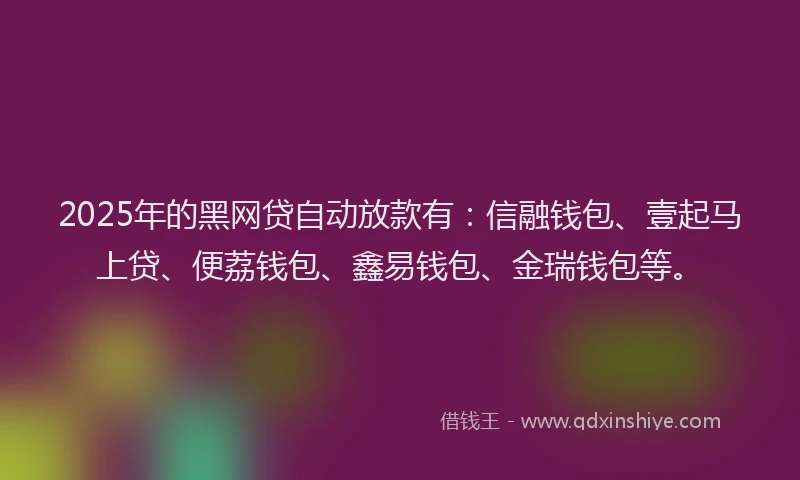 2025年的黑网贷自动放款有：信融钱包、壹起马上贷、便荔钱包、鑫易钱包、金瑞钱包等。