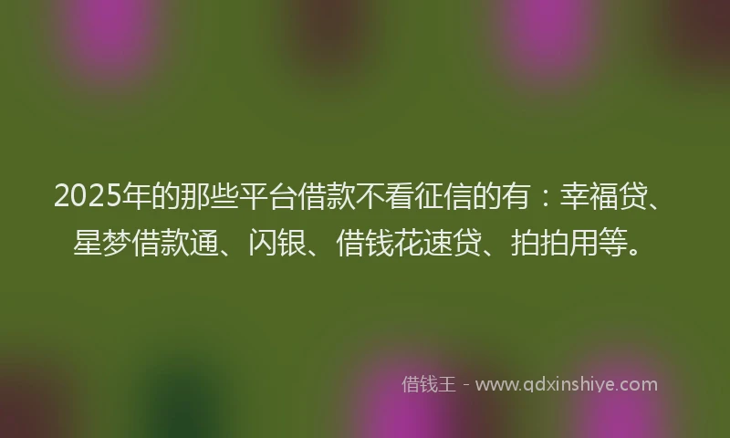 2025年的那些平台借款不看征信的有：幸福贷、星梦借款通、闪银、借钱花速贷、拍拍用等。