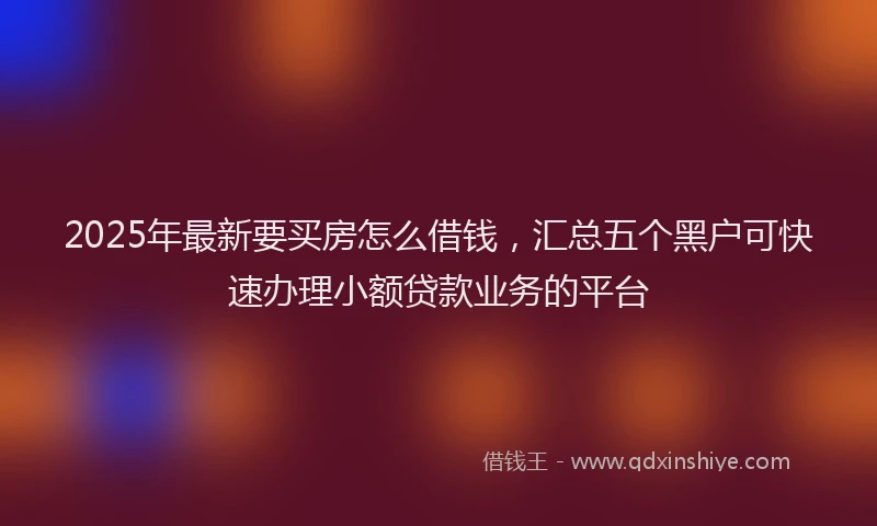 2025年最新要买房怎么借钱，汇总五个黑户可快速办理小额贷款业务的平台