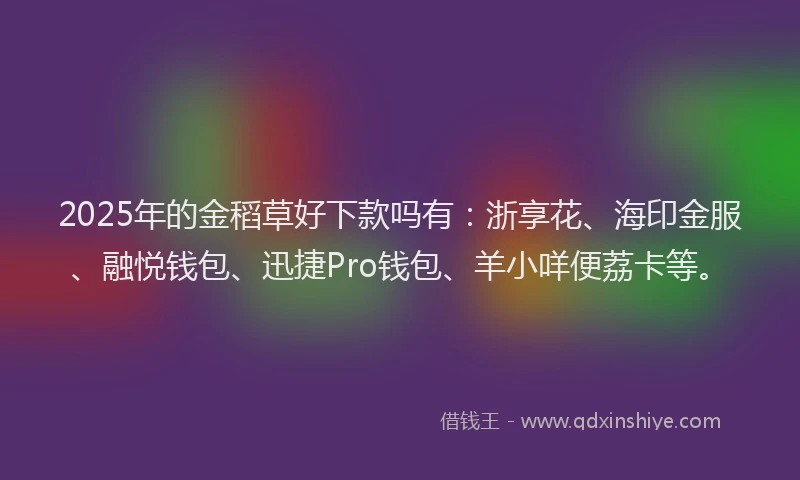 2025年的金稻草好下款吗有：浙享花、海印金服、融悦钱包、迅捷Pro钱包、羊小咩便荔卡等。