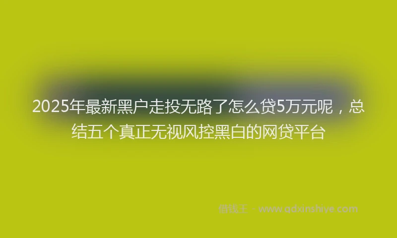 2025年最新黑户走投无路了怎么贷5万元呢，总结五个真正无视风控黑白的网贷平台