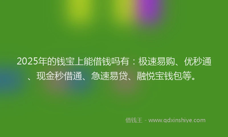 2025年的钱宝上能借钱吗有：极速易购、优秒通、现金秒借通、急速易贷、融悦宝钱包等。