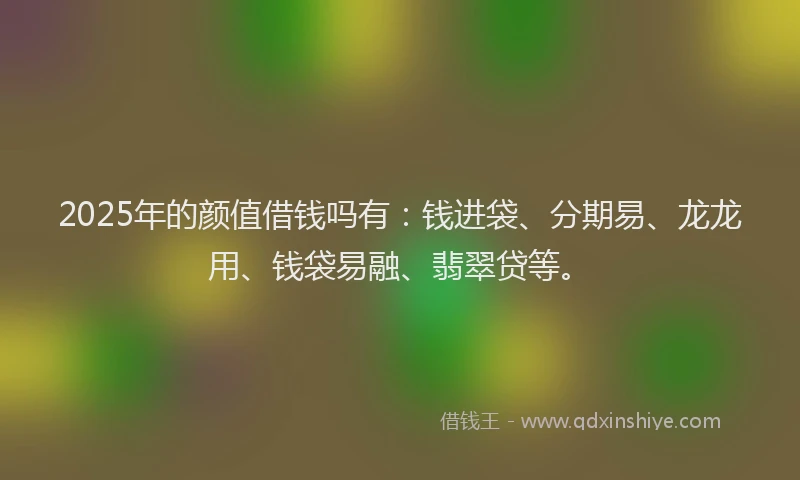 2025年的颜值借钱吗有：钱进袋、分期易、龙龙用、钱袋易融、翡翠贷等。
