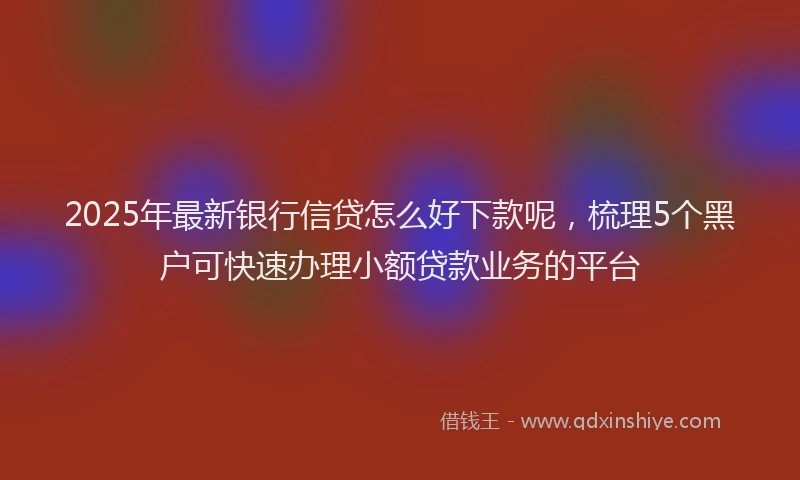 2025年最新银行信贷怎么好下款呢，梳理5个黑户可快速办理小额贷款业务的平台