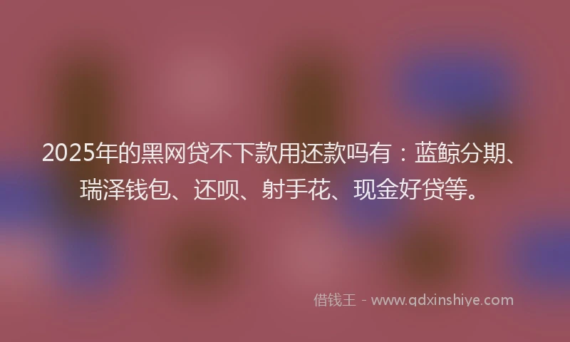 2025年的黑网贷不下款用还款吗有：蓝鲸分期、瑞泽钱包、还呗、射手花、现金好贷等。
