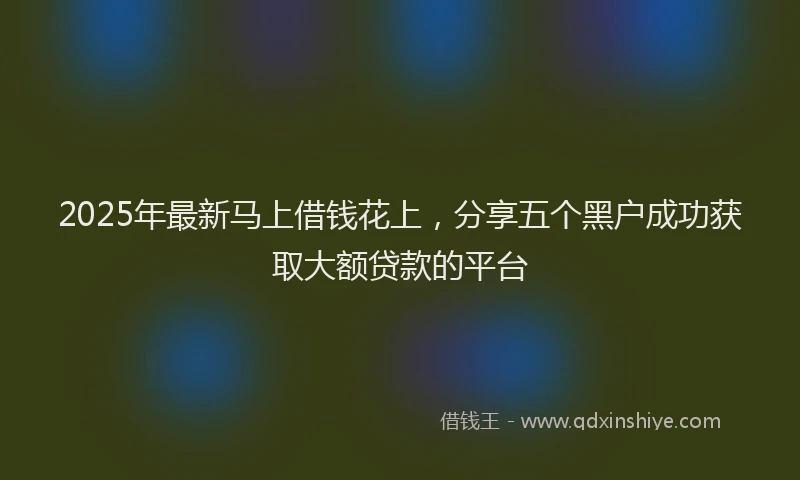 2025年最新马上借钱花上，分享五个黑户成功获取大额贷款的平台
