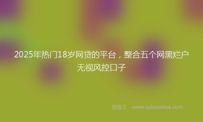 2025年热门18岁网贷的平台，整合五个网黑烂户无视风控口子