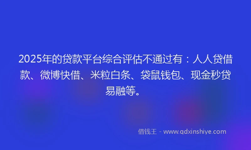 2025年的贷款平台综合评估不通过有：人人贷借款、微博快借、米粒白条、袋鼠钱包、现金秒贷易融等。