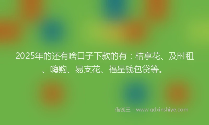 2025年的还有啥口子下款的有：桔享花、及时租、嗨购、易支花、福星钱包贷等。